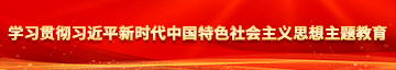 骚逼水真多真欠操视频学习贯彻习近平新时代中国特色社会主义思想主题教育